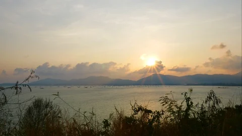 Timelapse of moving leaves branch tree, sea wave breaking coast,beam of sun,r Stock Footage 127807387