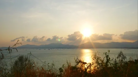 Timelapse of moving leaves branch tree, sea wave breaking coast,beam of sun,r Video stock 127807444