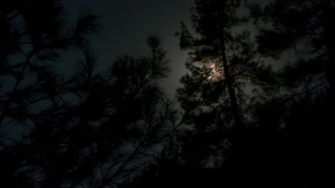 Timelapse of moving moon in night sky Stock Footage 139215893
