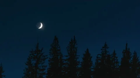 Timelapse of moving moon in night sky Stock Footage 142394350
