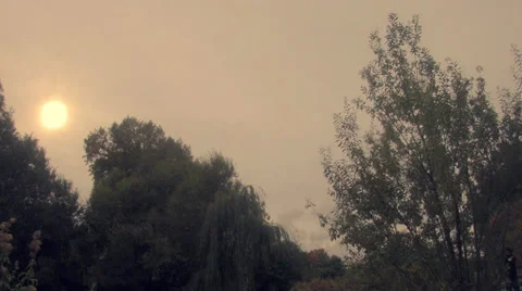 Timelapse moving over trees Stock Footage 31587269