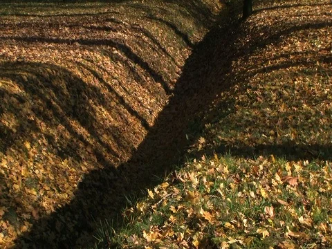 Timelapse of moving shadows Stock Footage 99219147