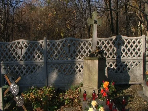 Timelapse of moving shadows Stock Footage 99219171