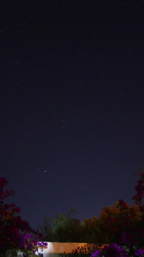 Timelapse of moving star trails in night sky. Vertical video for social media. Stock Footage 245955850