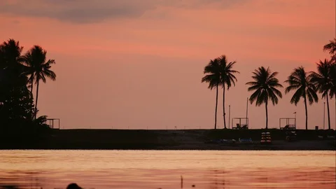 Timelapse moving water wave, moving coconut branch tree,reflection in lagoon, Stock Footage 128940624