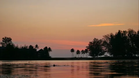 Timelapse moving water wave, moving coconut and pine branch tree,reflection i Video stock 128940631