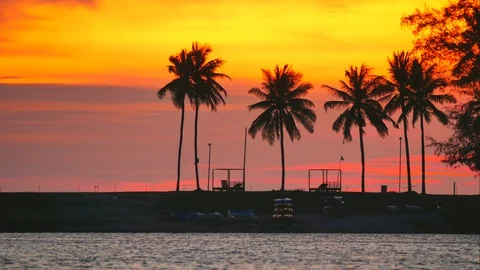 Timelapse moving water wave,coconut and pine branch tree ,moving flag on beac Stock Footage 128941307