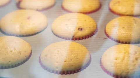 Timelapse of muffins baked in oven Stock Footage 154009537