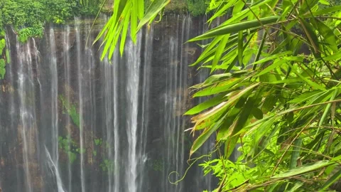 Timelapse of multiple waterfalls cascading into a lake, amidst a lush jungle Stock Footage 274932466
