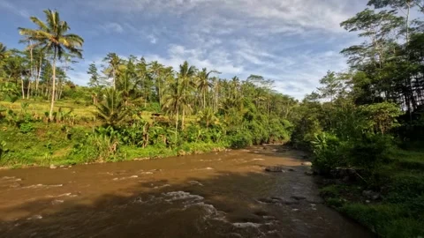 Timelapse of murky brown river water on a blue sky background Stock Footage 307432444