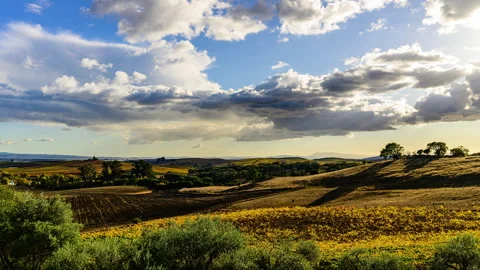 Timelapse of Napa Valley with Elevated View of Vineyards after Storm Stock Footage 256043529