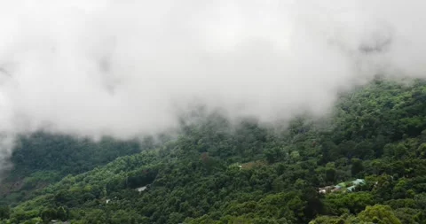 Timelapse nature cloud fog moving on the mountain hill with forest in winter  Stock Footage 202852258