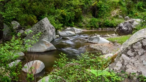 Timelapse Nature Stock Footage 148005851