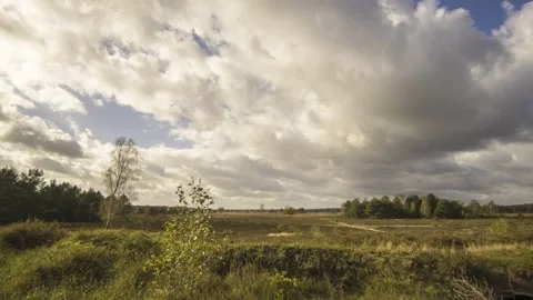 Timelapse of the neuruppiner heath. moving clouds and play of light. Stock Footage 345658849