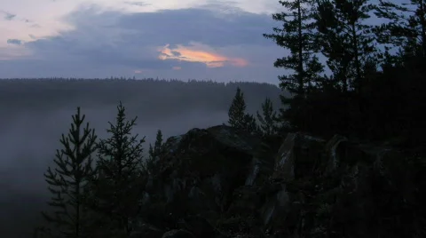 Timelapse night forest, clouds and fog. three variants. tilt, zoom and s Stock-Footage 686360