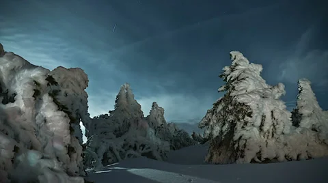 Timelapse night at the frosted trees Stock Footage 36828176