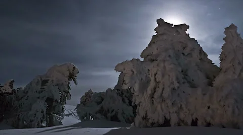 Timelapse night with icy trees Stock Footage 36818397