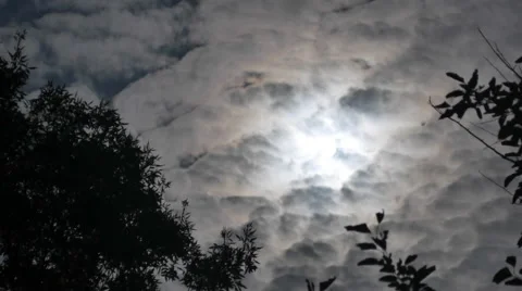Timelapse at Night in the Moonlight in the Sky and Shining Stars Flying Clouds Stock Footage 67713692