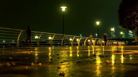 Timelapse of night on the promenade Stock Footage 101024277