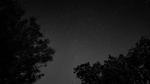 Timelapse night sky in black and white Stock Footage 141293096