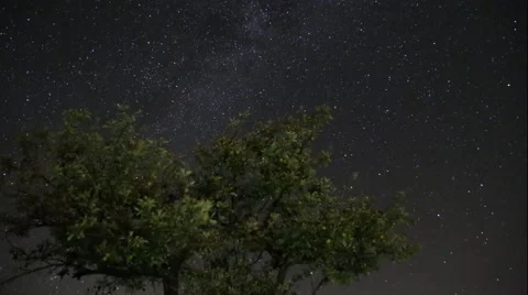 Timelapse of night sky Stock Footage 53896487