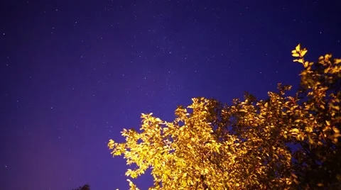 Timelapse of night sky  Stock Footage 65238368