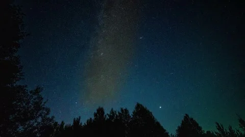 Timelapse of night sky in the forest. Milky way is visible between trees Stock Footage 250470332