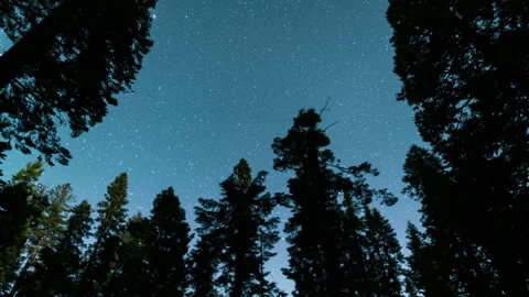 Timelapse of night sky over Sequoia National Park in California, USA Stock Footage 346105072