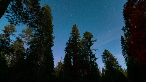 Timelapse of night sky over Sequoia National Park in California, USA Stock Footage 346107192