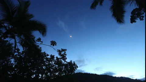 Timelapse night sky with tropical thunderstorm Stock Footage 137088063