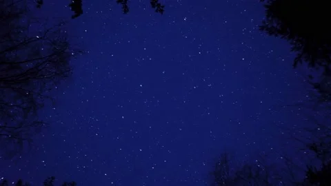 Timelapse of the night starry sky in the forest. Stock Footage 192541653