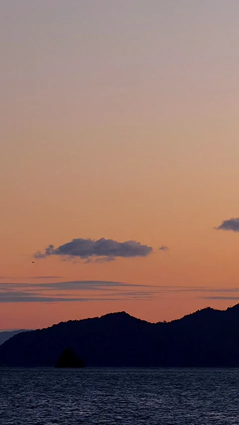 Timelapse night view of a beautiful sunset in world heritage Miyajima,Verti,01 Stock Footage 347158551