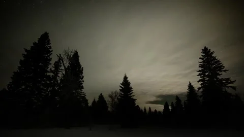 Timelapse of nighttime moon lit clouds moving above a silhouette forest of Stock Footage 310215127