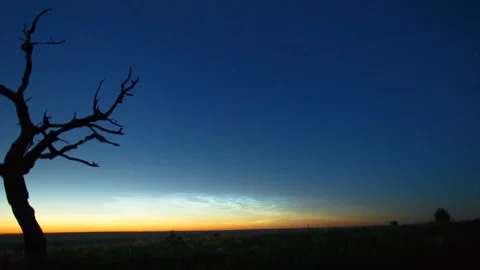 Timelapse of noctilucent clouds over a tree. Noctilucent clouds scenic timelapse Stock Footage 156676648