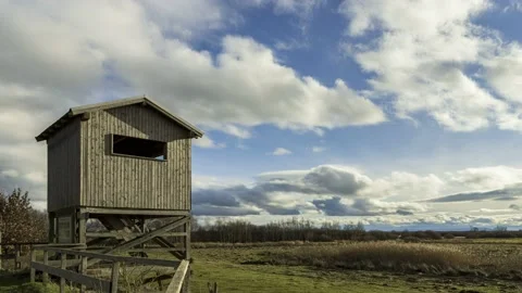 Timelapse with observation tower in bird sanctuary Meerbruch Stock Footage 146025859