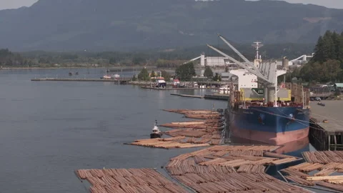 Timelapse of an ocean freighter loading logs for export Stock Footage 342770426