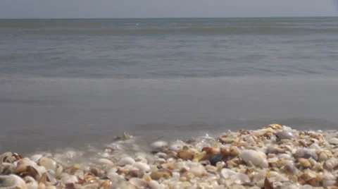Timelapse ocean wave splash shell oyster sea beach blue sky summer day holiday  Stock Footage 39221600