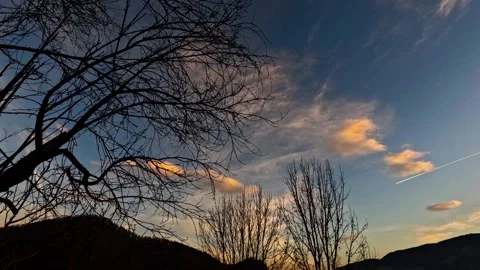 Timelapse of orange clouds behind dark trees  Stock Footage 321226592