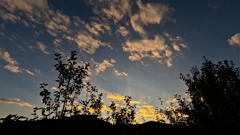Timelapse of orange sunset clouds behind trees Stock Footage 319421578