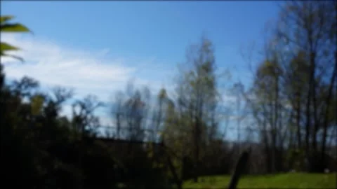 Timelapse out of focus forest and cloud sky Stock Footage 196447838