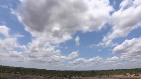 Timelapse over Kruger landscape. Stock Footage 71080292