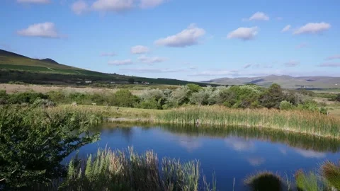 Timelapse over a pond with mountains in the background in Cape Town Vidéo 131911014