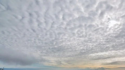 Timelapse Overview of Clouds over Bay Area from Mt. Tamalpais -Tilt Down- Stock Footage