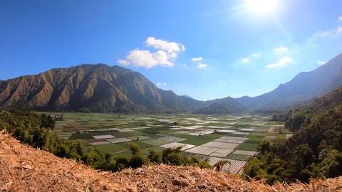 Timelapse Paddy Field, Cloud and hill in the morning Video stock 113939139