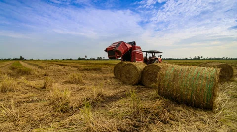 Timelapse Paddy Harvester  Stock-Footage 33834189