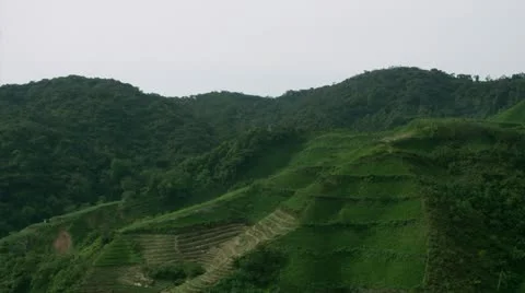 Timelapse padi hills Видео 11585839