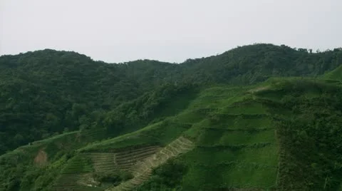 Timelapse padi hills 動画素材 11604756