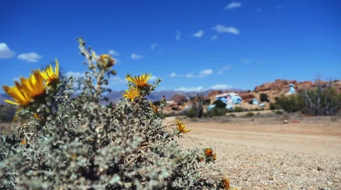 Timelapse at the Painted Rocks Valley in Morocco Stock Footage 68974168