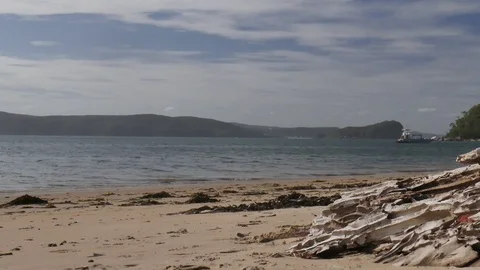 Timelapse Palm Beach, Sydney Video stock 93355555