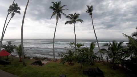 Timelapse of Palm trees and the ocean in Mirissa, HD. Stock Footage 143250754